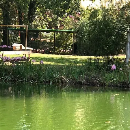 - Casas Dos Infantes Apartmán Caldas Da Rainha